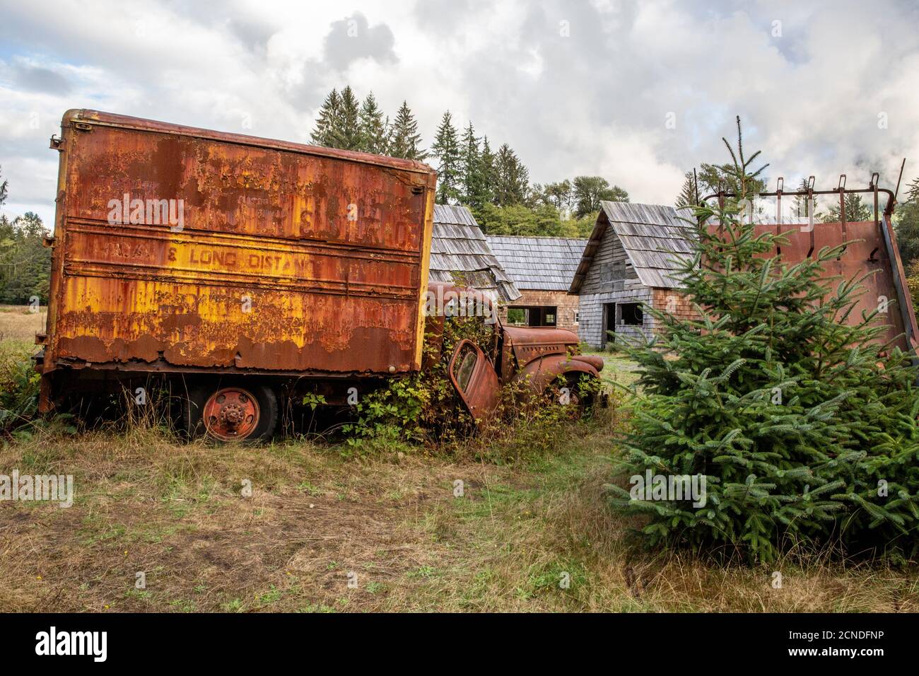 Old Chevrolet truck at the Kestner Homestead, Quinault Rain Forest, Olympic National Park,  Washington State, United States of America Stock Photo