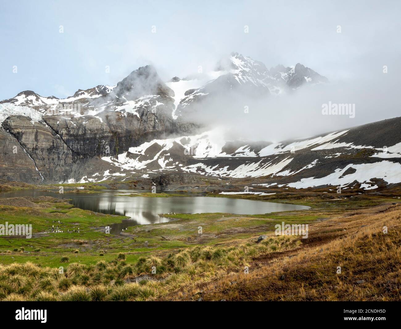 Snow-covered mountains and glacial meltwater lake in Gold Harbor, South Georgia, Polar Regions Stock Photo