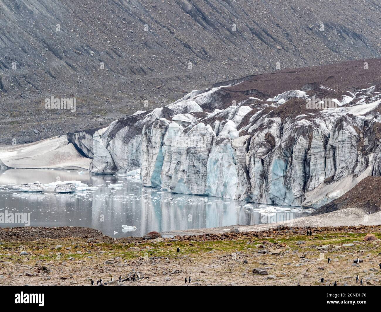 Glacier and meltwater lake in St. Andrews Bay, South Georgia, Polar Regions Stock Photo