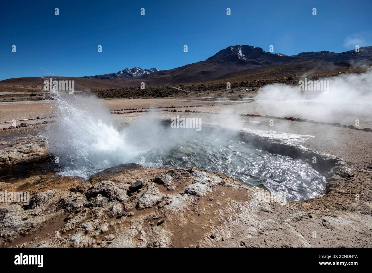 Geysers del Tatio (El Tatio), the third largest geyser field in the world, Andean Central Volcanic Zone, Antofagasta Region, Chile Stock Photo