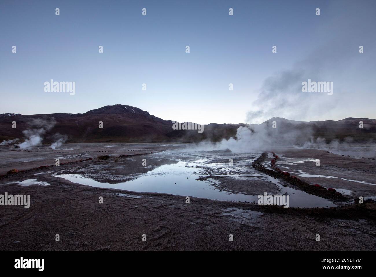 Pre-dawn light on the Geysers del Tatio (El Tatio), the third largest geyser field in the world, Andean Central Volcanic Zone, Antofagasta Region Stock Photo