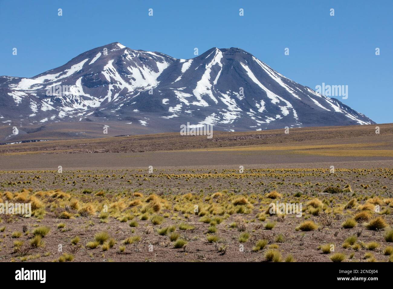 Stratovolcanoes in the Andean Central Volcanic Zone, Antofagasta Region, Chile Stock Photo