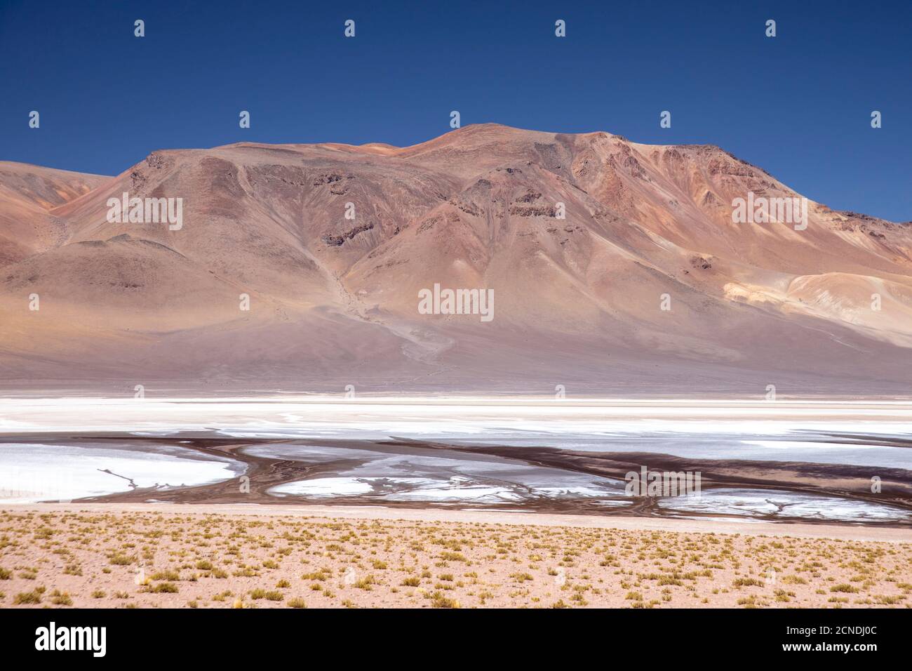 Laguna Tara, Los Flamencos National Reserve, San Pedro de Atacama, Antofagasta Region, Chile Stock Photo