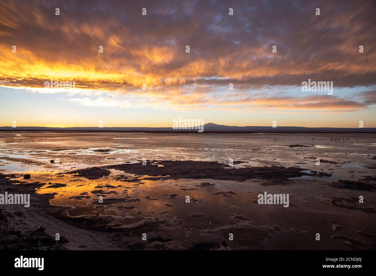 Sunset at Llano de Solaren, Los Flamencos National Reserve, Antofagasta Region, Chile Stock Photo