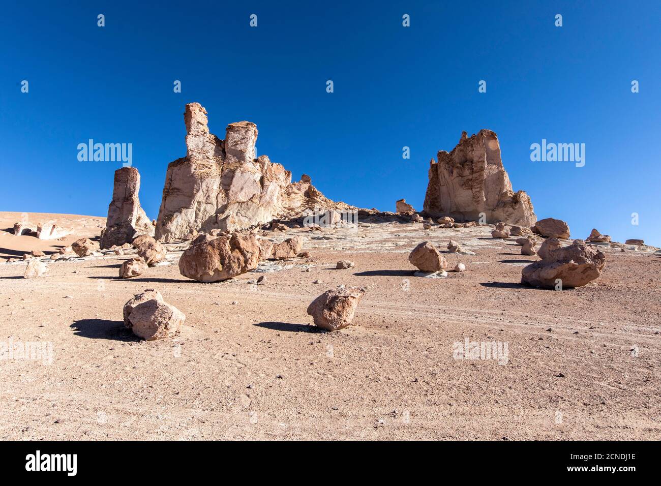 Stone formations at Salar de Tara y Aguas Calientes I, Los Flamencos National Reserve, Antofagasta Region, Chile Stock Photo