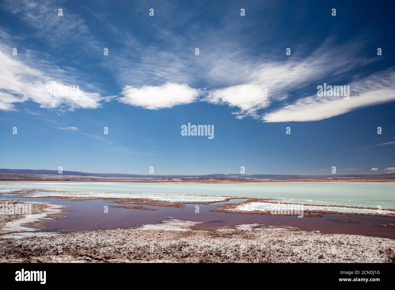 Laguna Tebenquicne, a salt water lagoon in the Salar de Atacama, Los Flamencos National Reserve, Chile Stock Photo