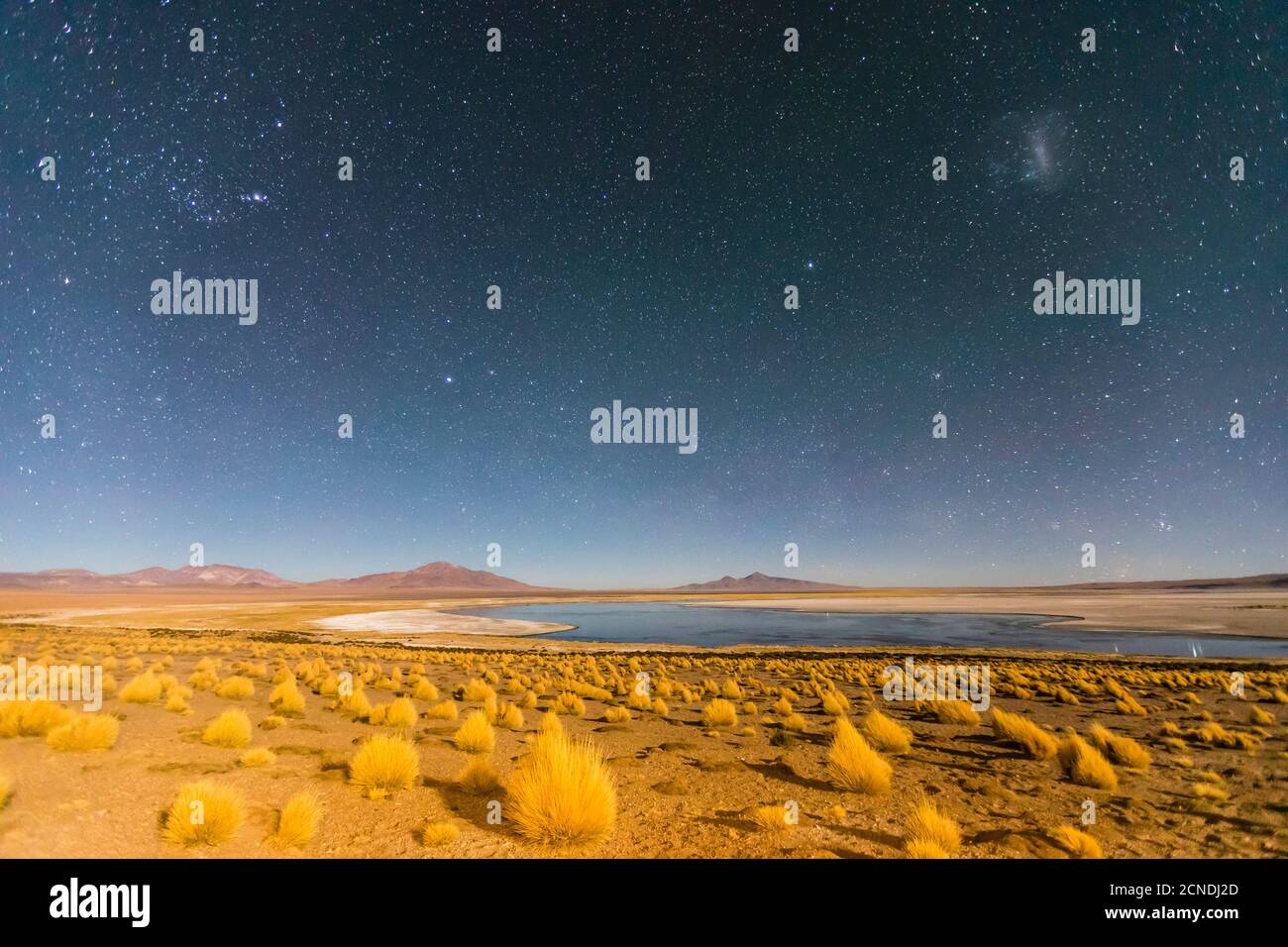 Starry night at Salar de Tara y Aguas Calientes I, Los Flamencos National Reserve, Antofagasta Region, Chile Stock Photo