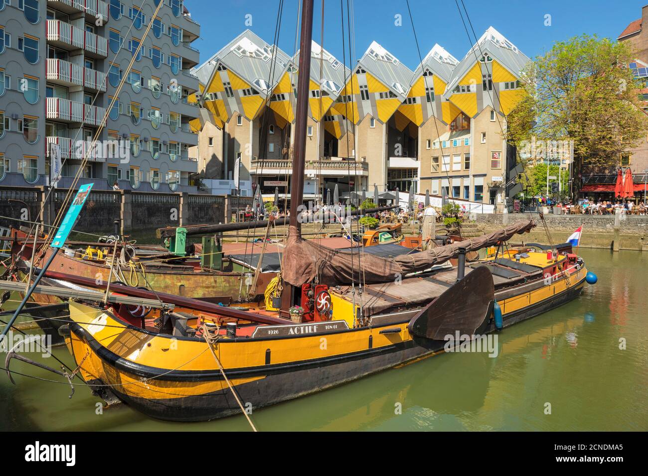 Cubic houses at Oudehaven port, Architect Piet Blom, Rotterdam, South Holland, Netherlands, Europe Stock Photo