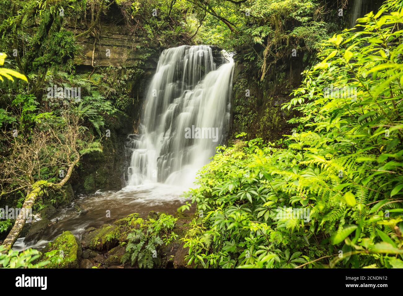 Horseshoe Falls, Matai Stream, Matai Falls Walk, The Catlins, South Island, New Zealand, Pacific Stock Photo