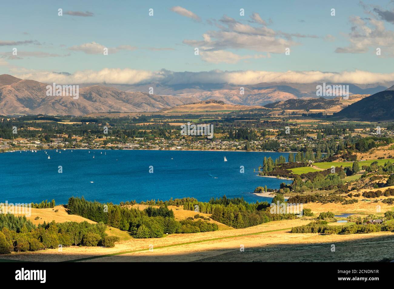 Lake Wanaka in the evening, Otago, South Island, New Zealand, Pacific Stock Photo