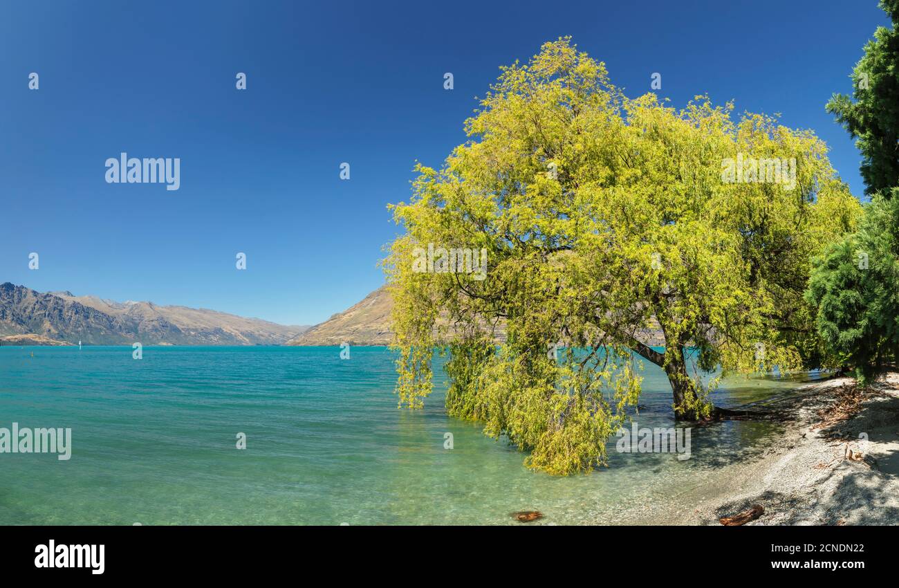 At the shore of Lake Wakatipu, Queenstown, Otago, South Island, New Zealand, Pacific Stock Photo