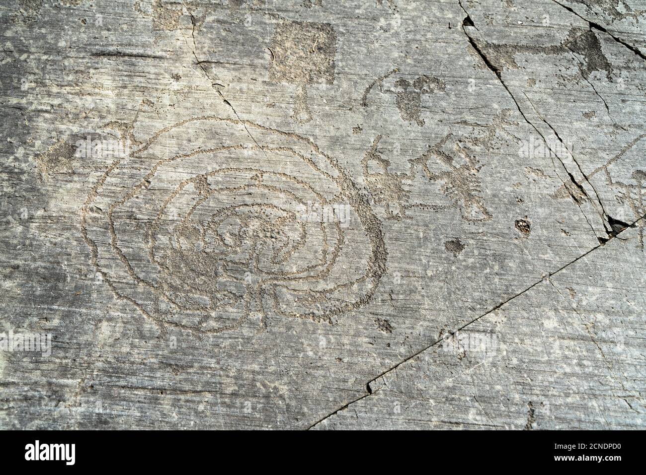 Rupestrian engravings depicting labyrinth and warriors, Naquane National Park, Capo di Ponte, Valcamonica Stock Photo