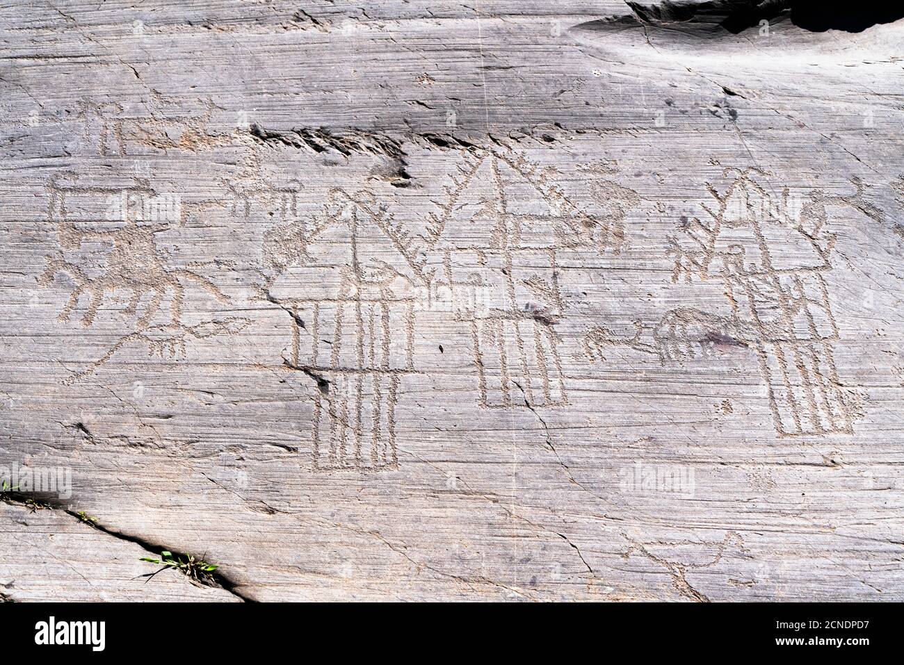 Camunian village with hut and barns or pantries engraved on rock 35, Naquane National Park, Valcamonica (Val Camonica), Lombardy, Italy, Europe Stock Photo