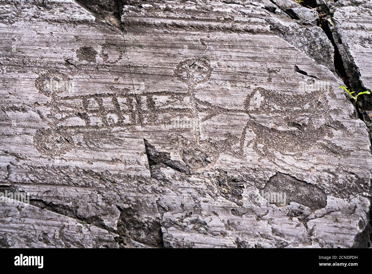 Rock engraving of four wheeled cart pulled by oxen, Naquane National Park, Capo di Ponte, Valcamonica Stock Photo
