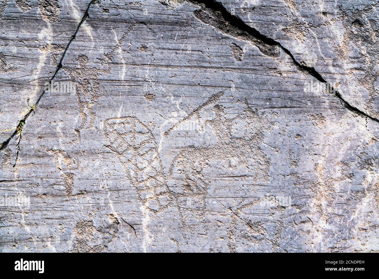 Rock drawing of warrior with spear on horseback, Naquane Park of Rupestrian Engravings, Capo di Ponte, Valcamonica (Val Camonica), Brescia province Stock Photo