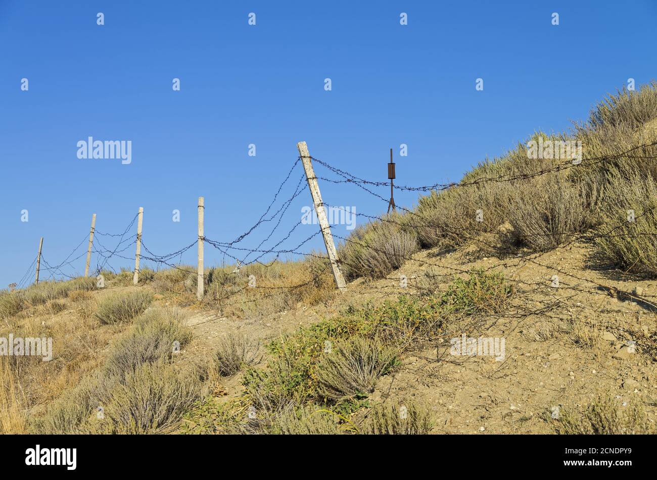 Old barbed wire fence Stock Photo - Alamy