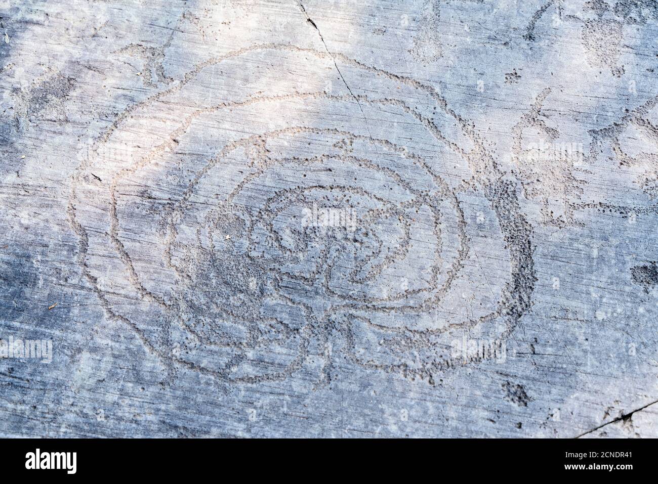 The labyrinth theme carved on majestic Rock 1, Naquane National Park of Rupestrian Engravings, Valcamonica (Val Camonica), Brescia province Stock Photo