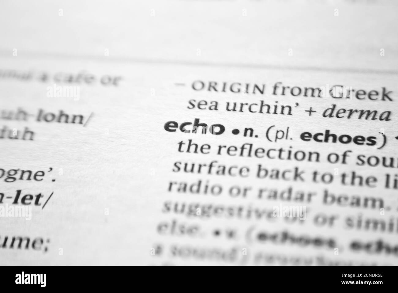 Word or phrase Echo in a dictionary Stock Photo Alamy