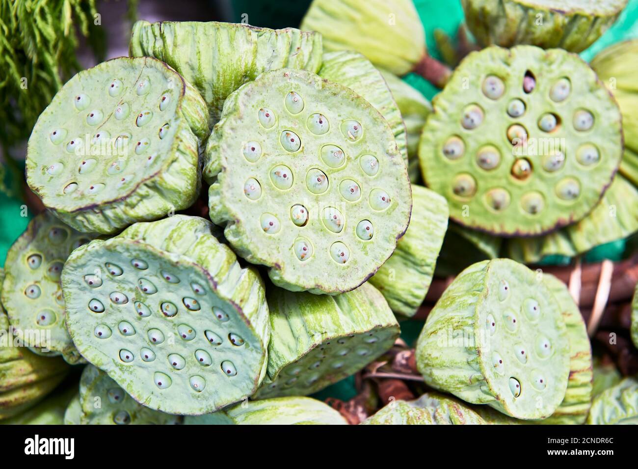 Lotus flower market hires stock photography and images Alamy