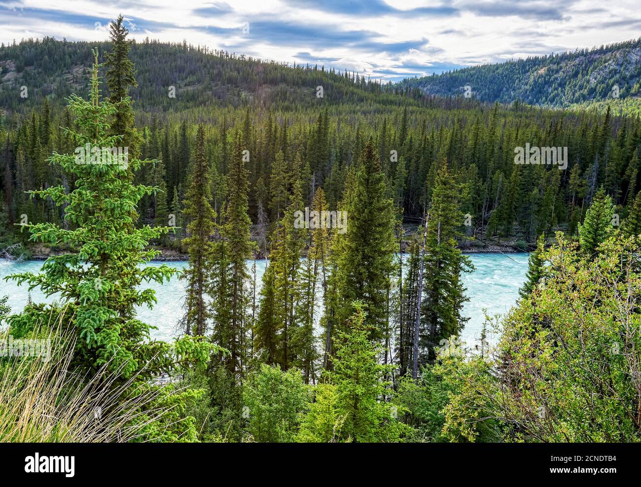 Scenic panoramic view of the Chilcotin River surrounded by pine tree forest and mountains in the background with a cloudy sky, British Columbia Stock Photo