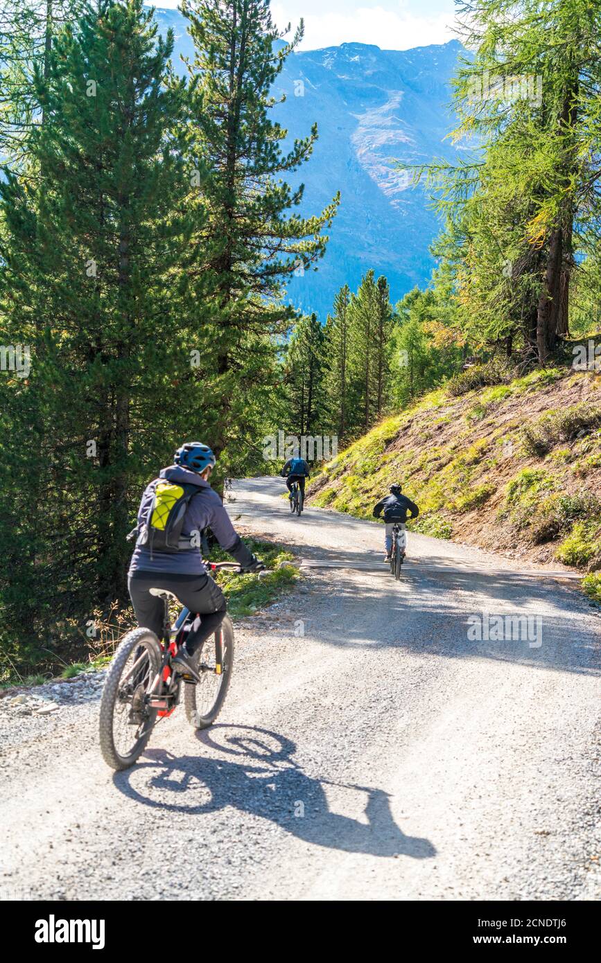 Thrunton woods mtb sale