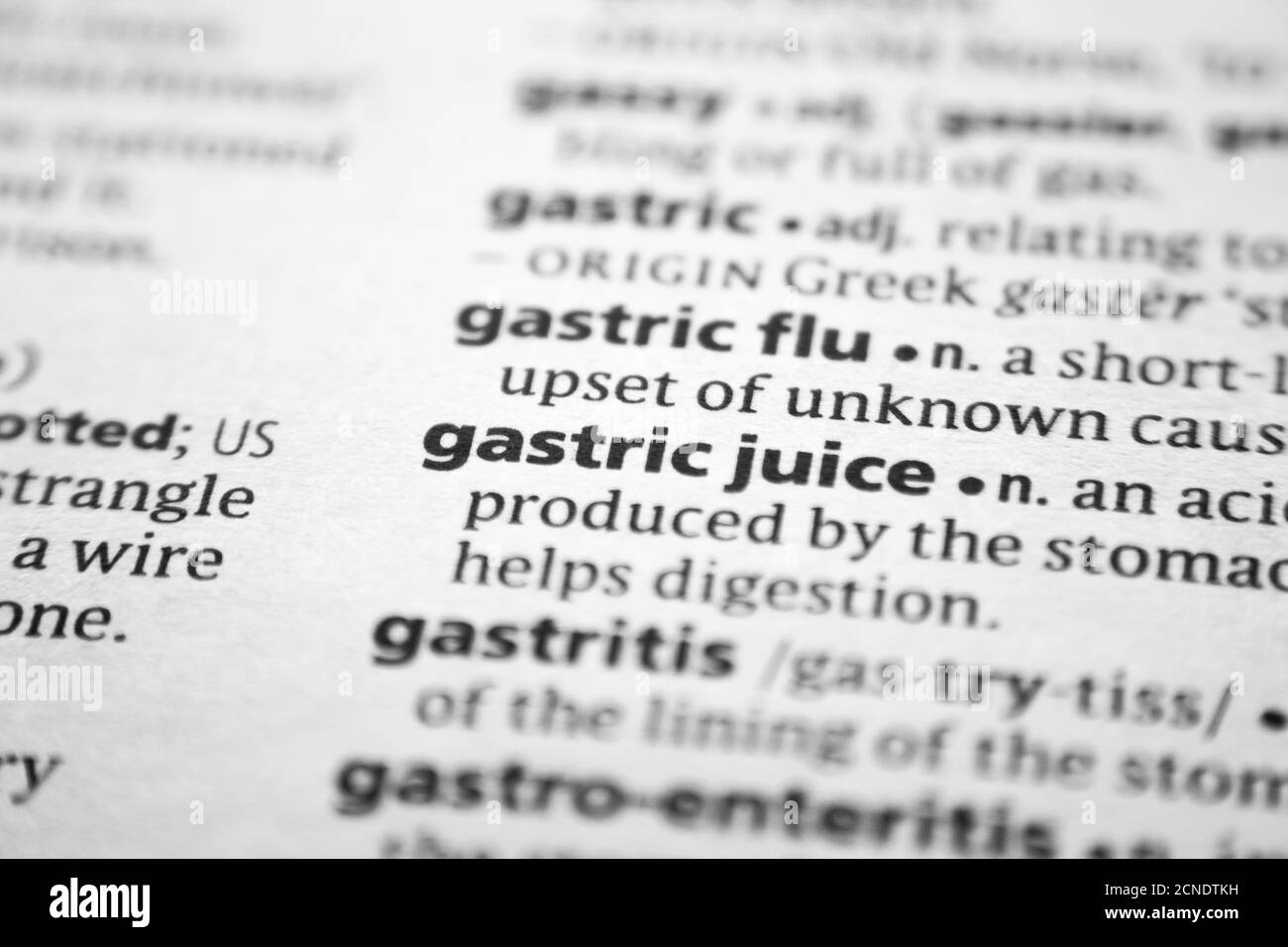 Word or phrase Gastric juice in a dictionary Stock Photo Alamy