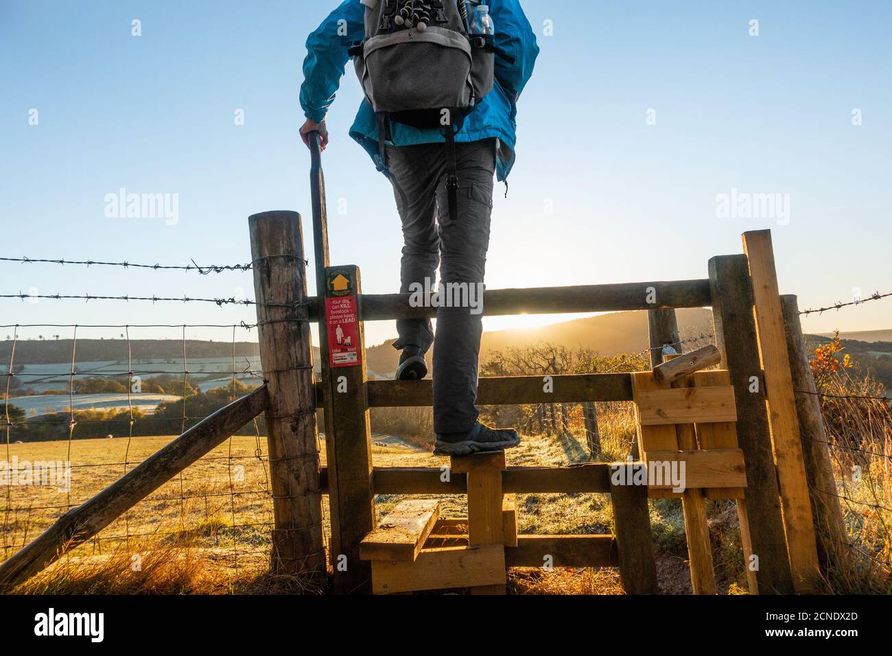 Rear view of hiker crossing stile at sunrise on a frosty November morning. North York Moors National Park, North Yorkshire, England. UK Stock Photo