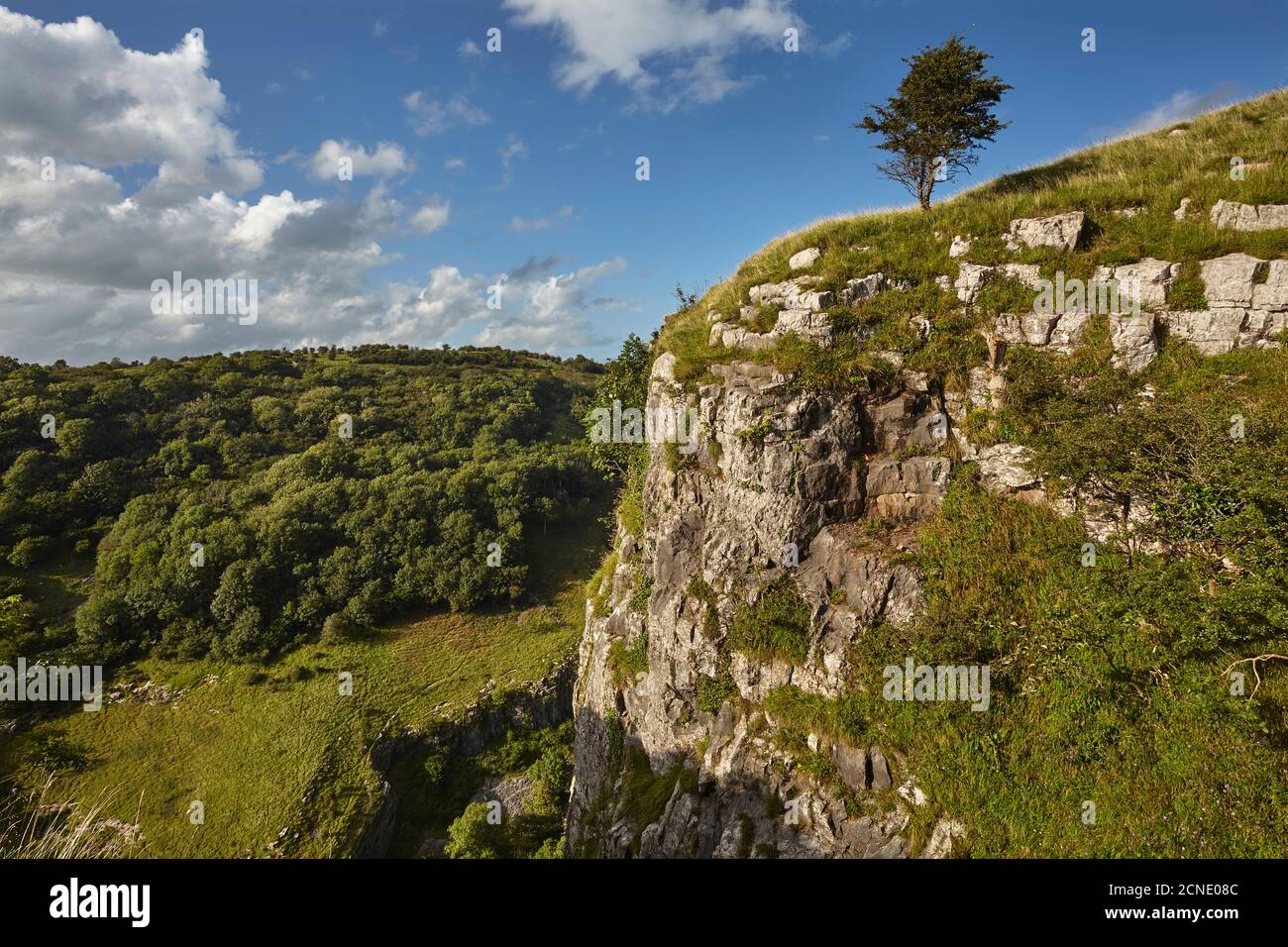 The limestone cliffs of Cheddar Gorge, in the Mendip Hills, near Cheddar, Somerset, England, United Kingdom, Europe Stock Photo