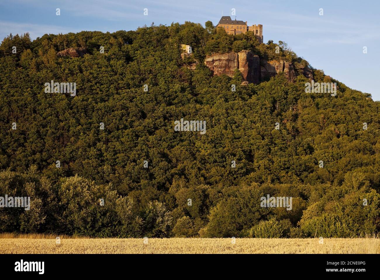 Nideggen Castle high above the Rur valley, Nideggen, Eifel, North Rhine-Westphalia, Germany, Europe Stock Photo