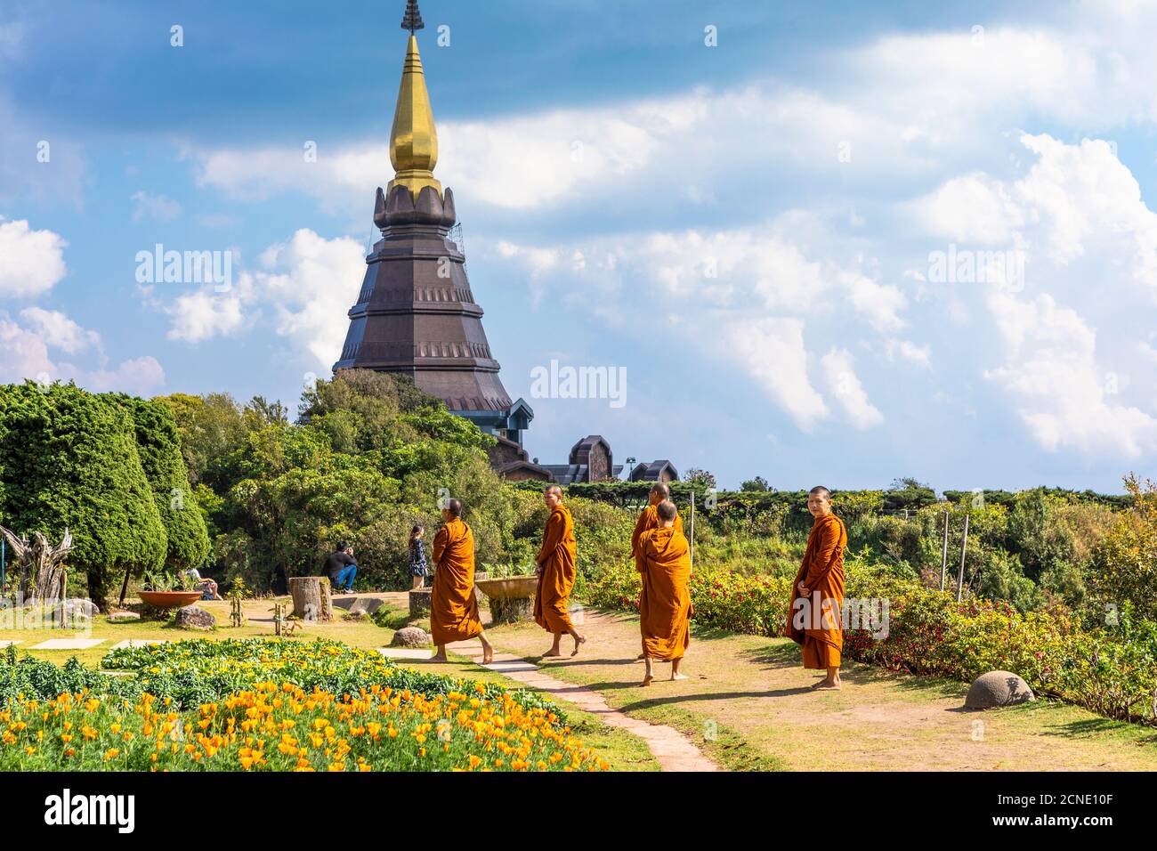 Doi Inthanon National Park, Chiang Mai, Northern Thailand, Thailand, Southeast Asia, Asia Stock Photo