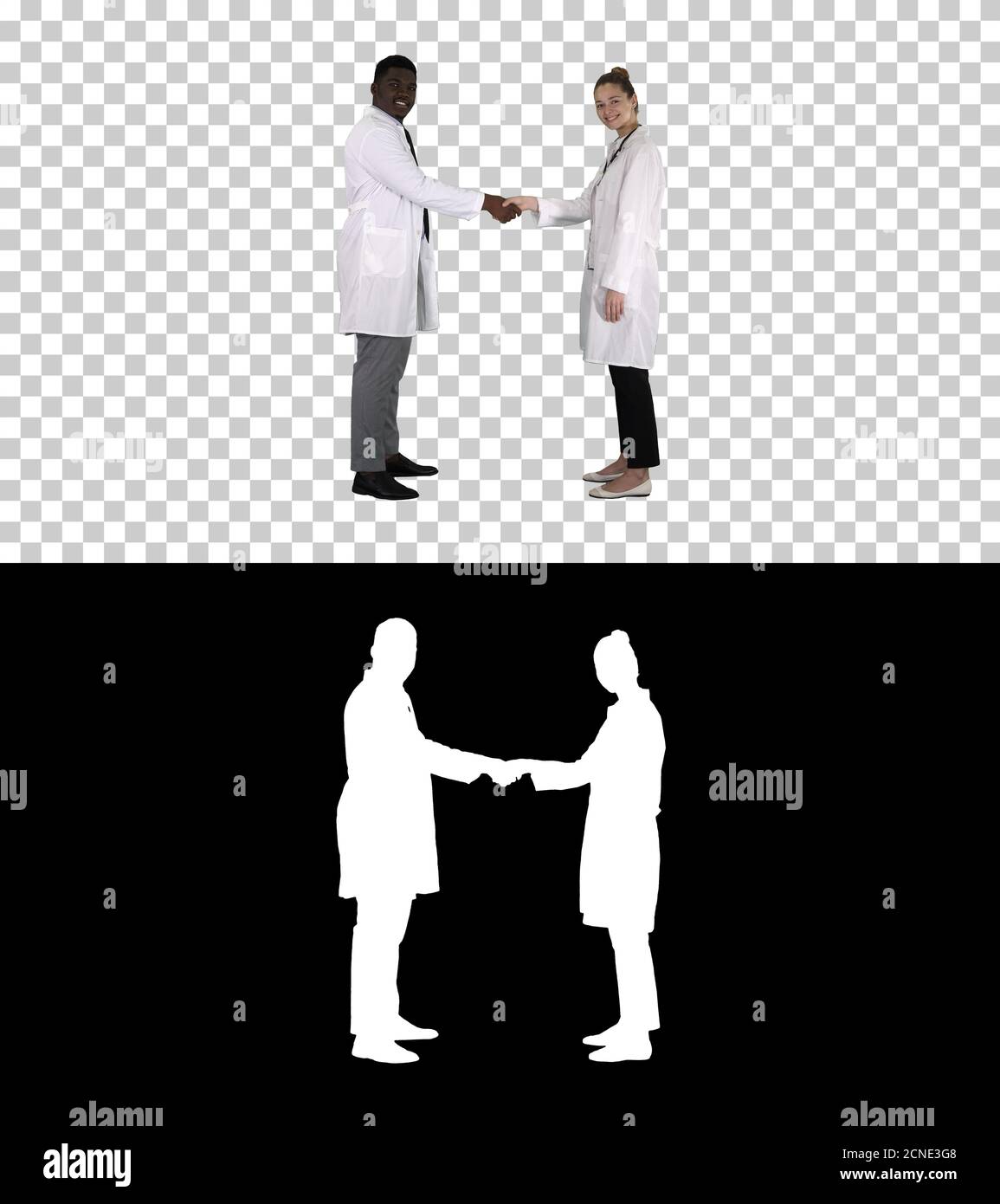 Doctors shaking hands and posing to camera, Alpha Channel Stock Photo