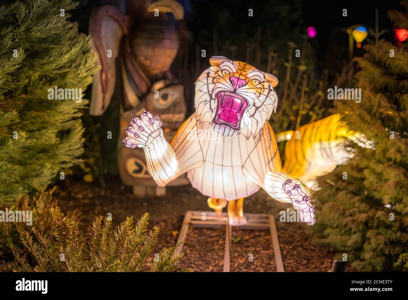 Wild lights at Dublin zoo. Light display of tiger Stock Photo Alamy