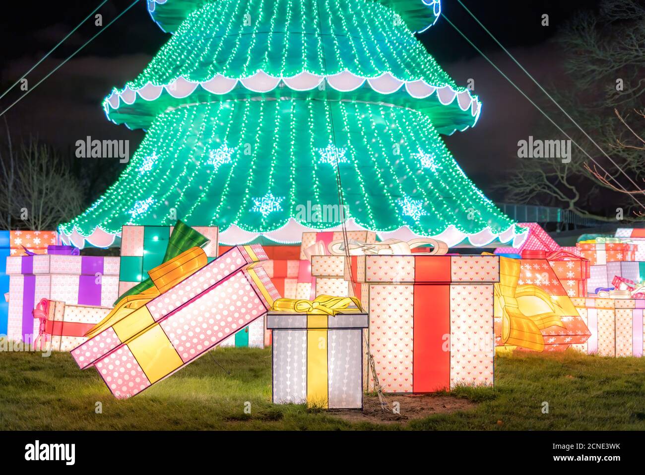 Wild lights at Dublin zoo. Light display of Christmas tree and gifts