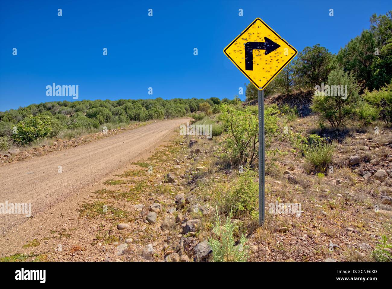 A sign along Forest Service Road 492 that has been shot up by reckless gunfire, Prescott National Forest, Arizona, United States of America Stock Photo