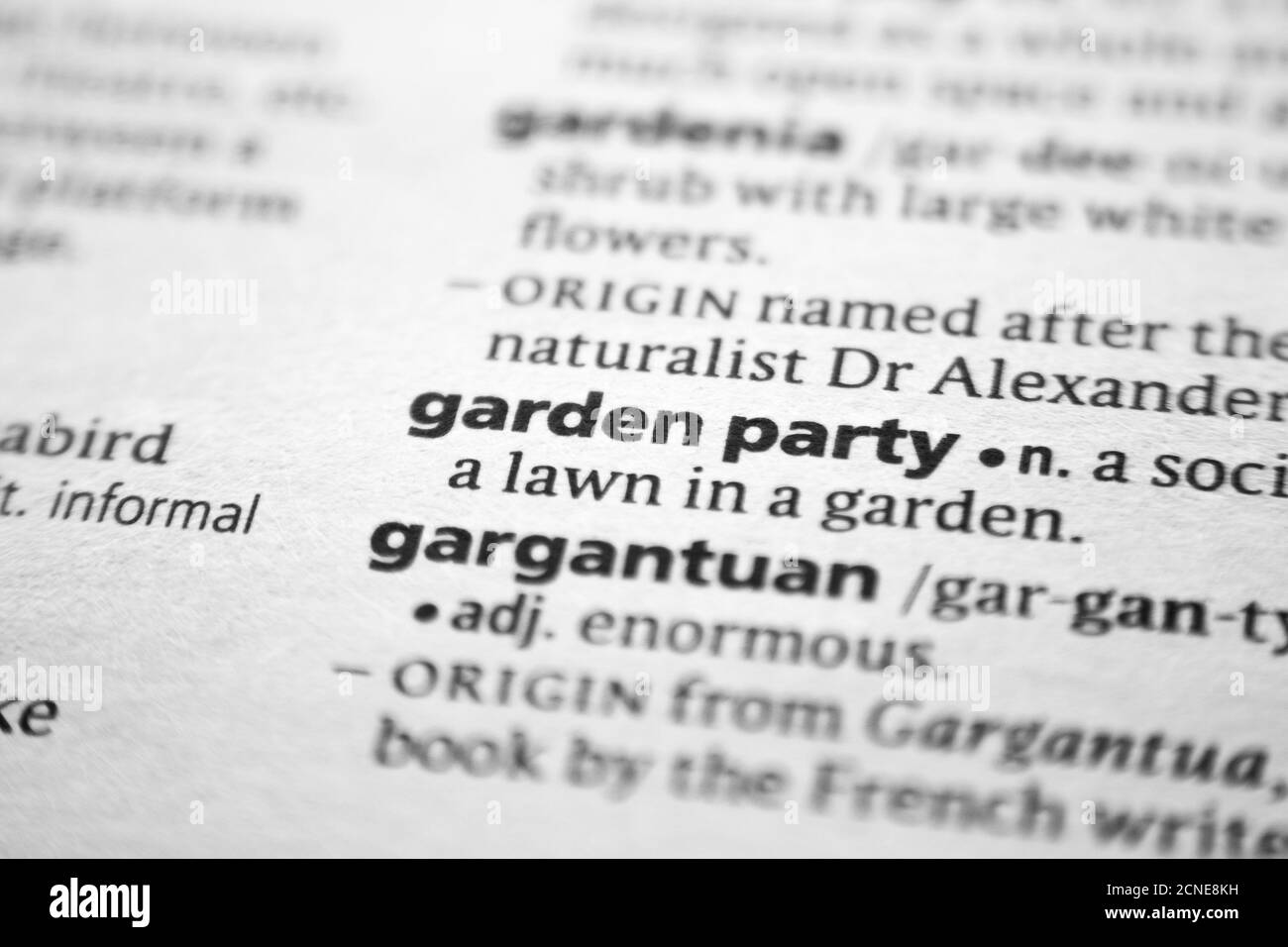 Definition word party in dictionary hires stock photography and images