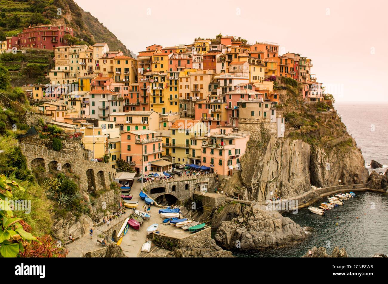 Manarola, Cinque Terre, UNESCO World Heritage Site, Liguria, Italy, Europe Stock Photo