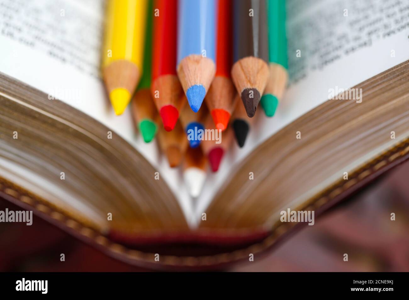 Colored pencils on a Bible, Catechism, France, Europe Stock Photo