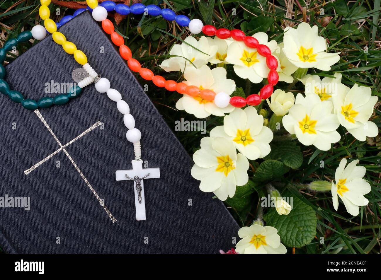 Bible on the grass with primrose at springtime, France, Europe Stock Photo