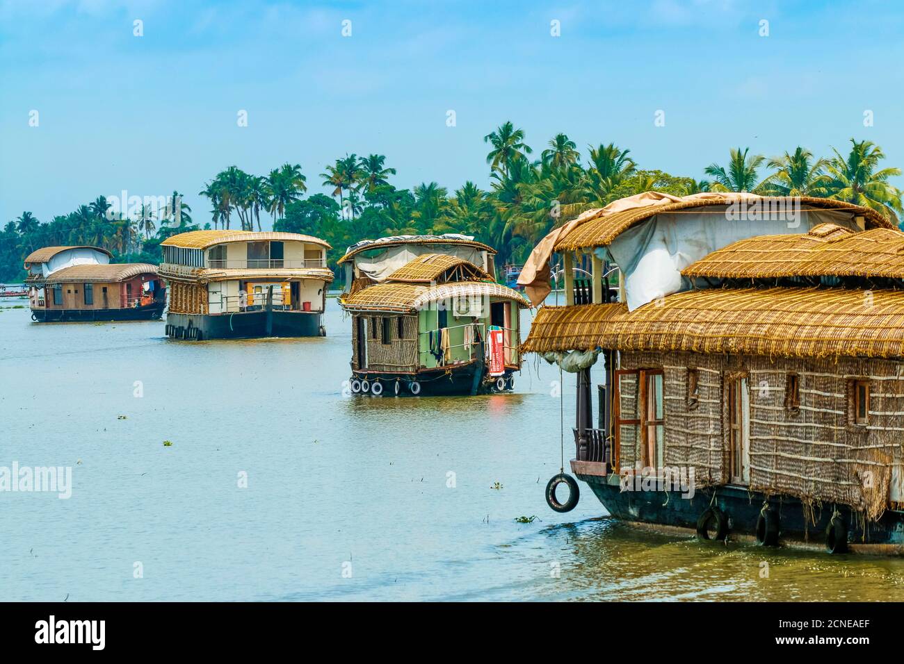 Kerala houseboats cruising Lake Vembanad, longest lake in India, during a backwater tour, Alappuzha (Alleppey), Kerala, India, Asia Stock Photo