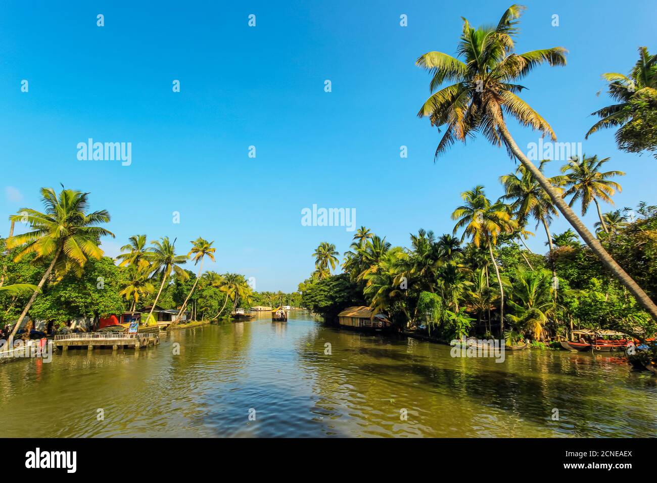 The palm fringed backwaters that attract the popular tourist houseboat cruises, Alappuzha (Alleppey), Kerala, India, Asia Stock Photo