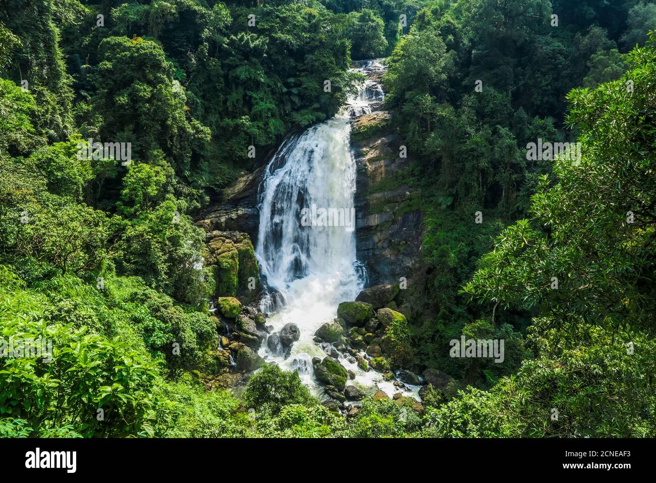 The 70m Valara Waterfall on the Deviyar River after Monsoon, a popular sight on the road to Munnar, Idukki district, Kerala, India, Asia Stock Photo