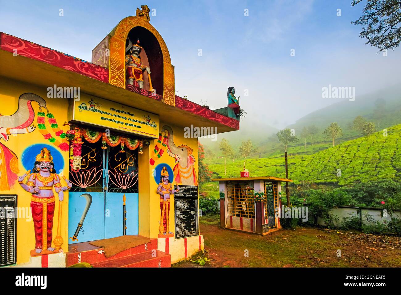 Lakshmi tea estate temple devoted to Aravan of the Tamil Kuttantavar Cult, many tea workers are Tamil, Munnar, Kerala, India, Asia Stock Photo