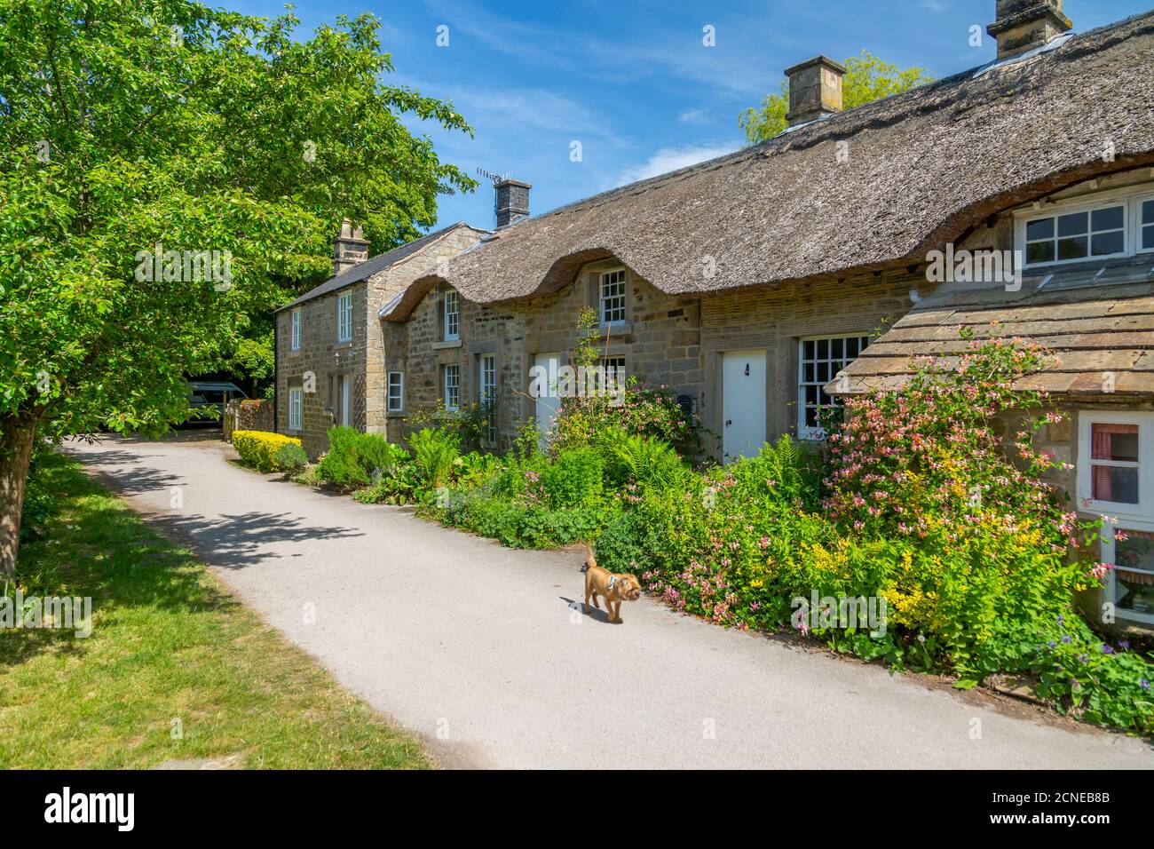 View of thatched cottages in Baslow, Derbyshire Dales, Derbyshire, England, United Kingdom, Europe Stock Photo