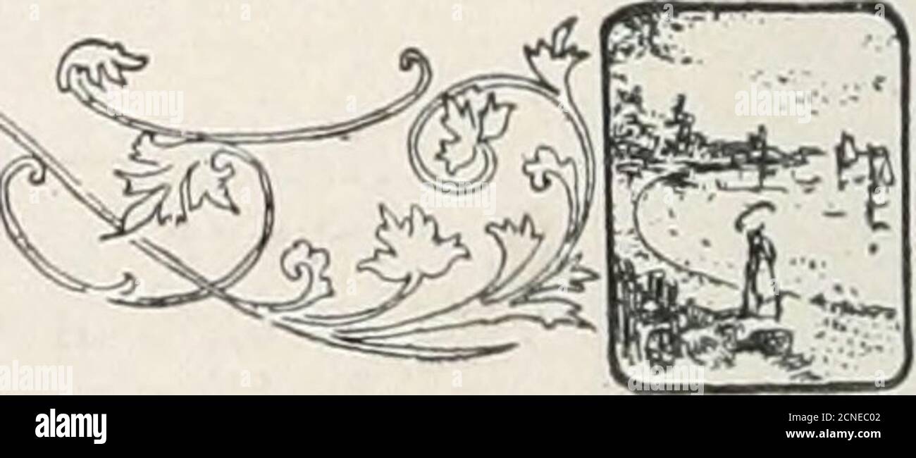 . The bird book : illustrating in natural colors more than seven hundred North American birds; also several hundred photographs of their nests and eggs . i^j^f^j 352. PERCHING BIRDS 578. Cassins Sparrows Peuccea cassi)ii. Range.—Plains and valleys from Texas and Arizonanorth to Kansas and Nevada. These birds breed in numbers on thearid plains, placing their grass nests onthe ground at the foot of small bushesor concealed in tufts of grass, and duringMay lay four pure white eggs which areof the same size and indistinguishablefrom those of others of the genus. Win;. 579- Rufous-winged Sparrow. A Stock Photo
