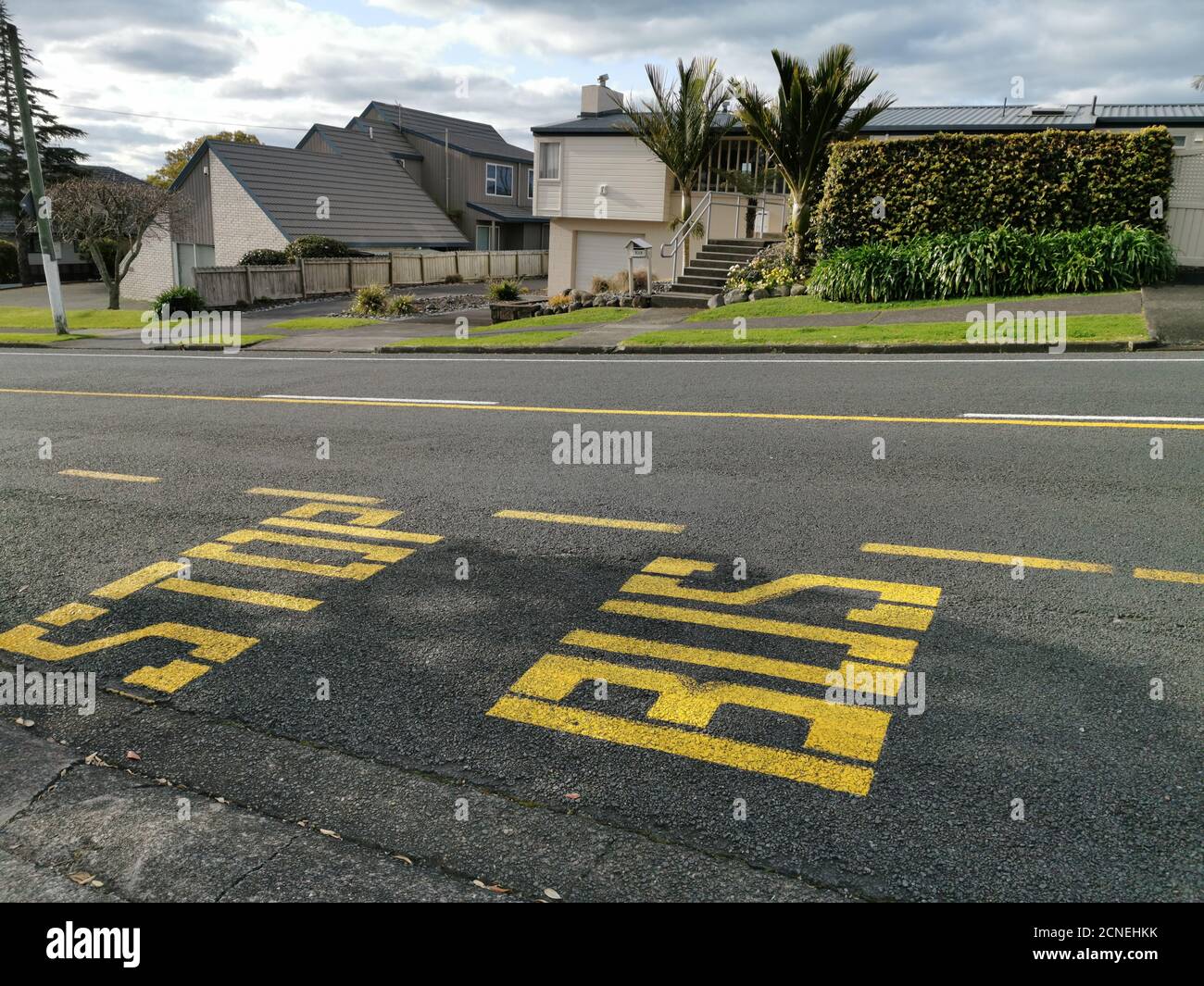 AUCKLAND, NEW ZEALAND Sep 05, 2020 Auckland / New Zealand September 5 2020 View of yellow