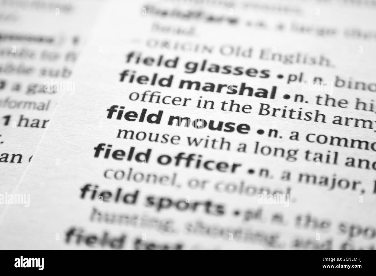 Word or phrase Field mouse in a dictionary Stock Photo