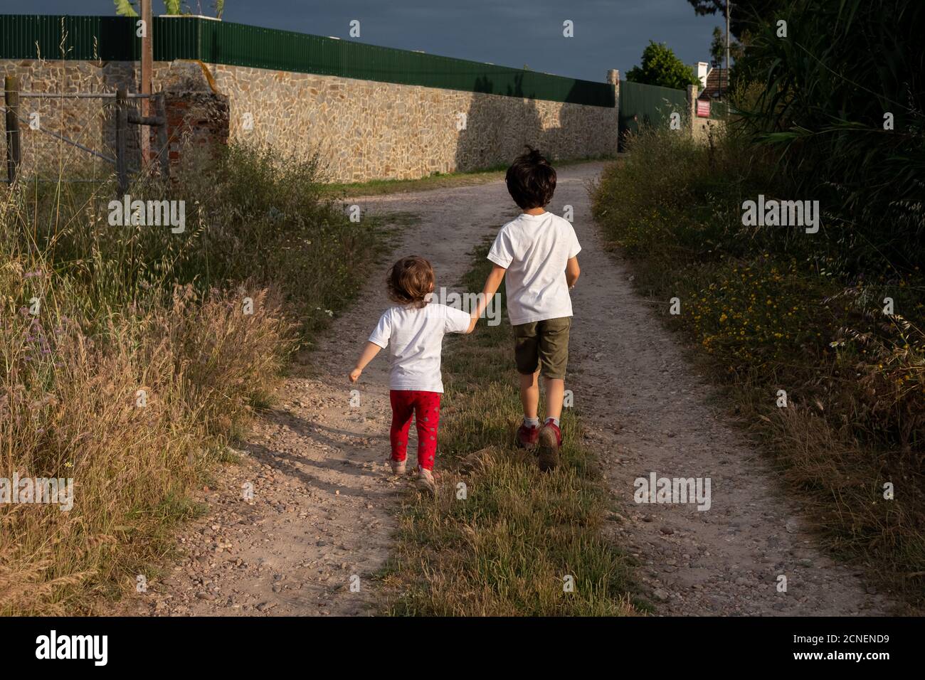 Brothers, young boy and girl, walking together and holding hands on pathway in countryside. Stock Photo