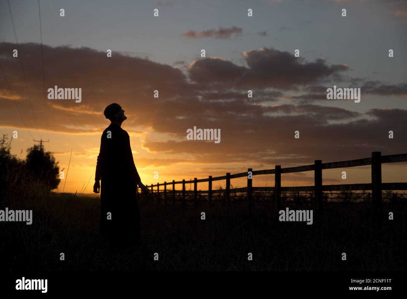 Sister Rachel Denton views the sunset from a vantage point near St Cuthbert's Hermitage in Lincolnshire, north east Britain September 25, 2015. Denton, a Catholic hermit, rises early to tend to her vegetable garden, feed her cats and pray. But the former Carmelite nun, who in 2006 pledged to live the rest of her life in solitude, has another chore - to update her Twitter account and check Facebook. "The myth you often face as a hermit is that you should have a beard and live in a cave. None of which is me," says the ex-teacher. For the modern-day hermit, she says social media is vital: "tweets Stock Photo