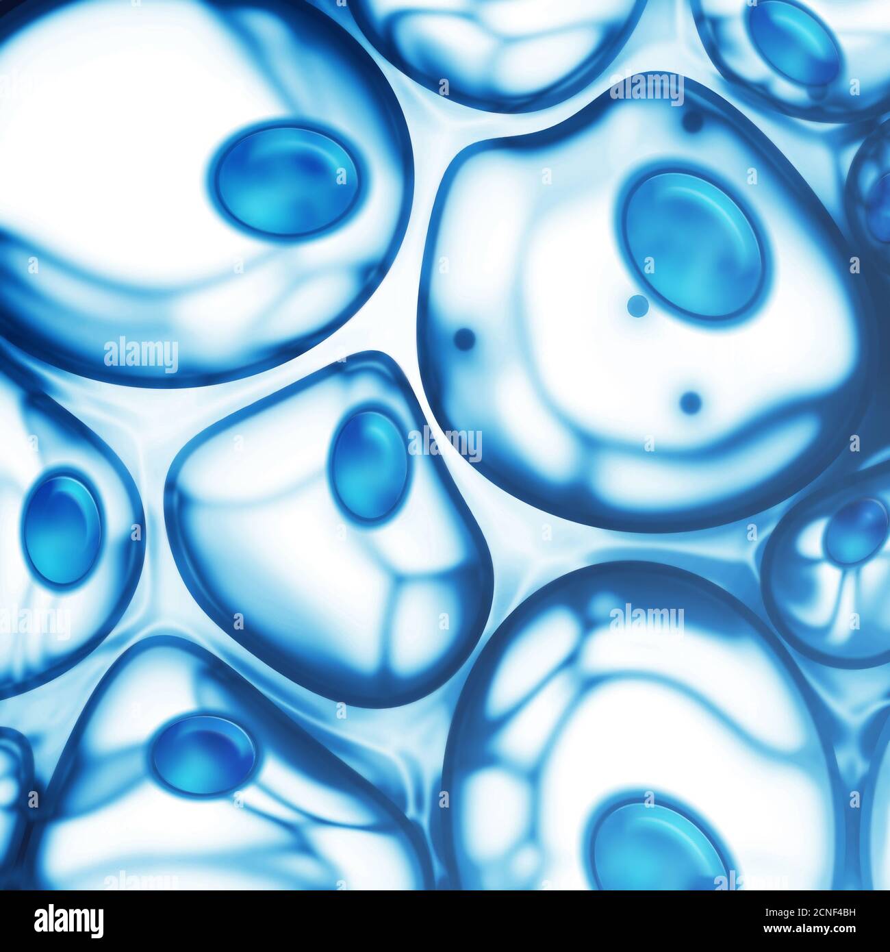 cells Stock Photo