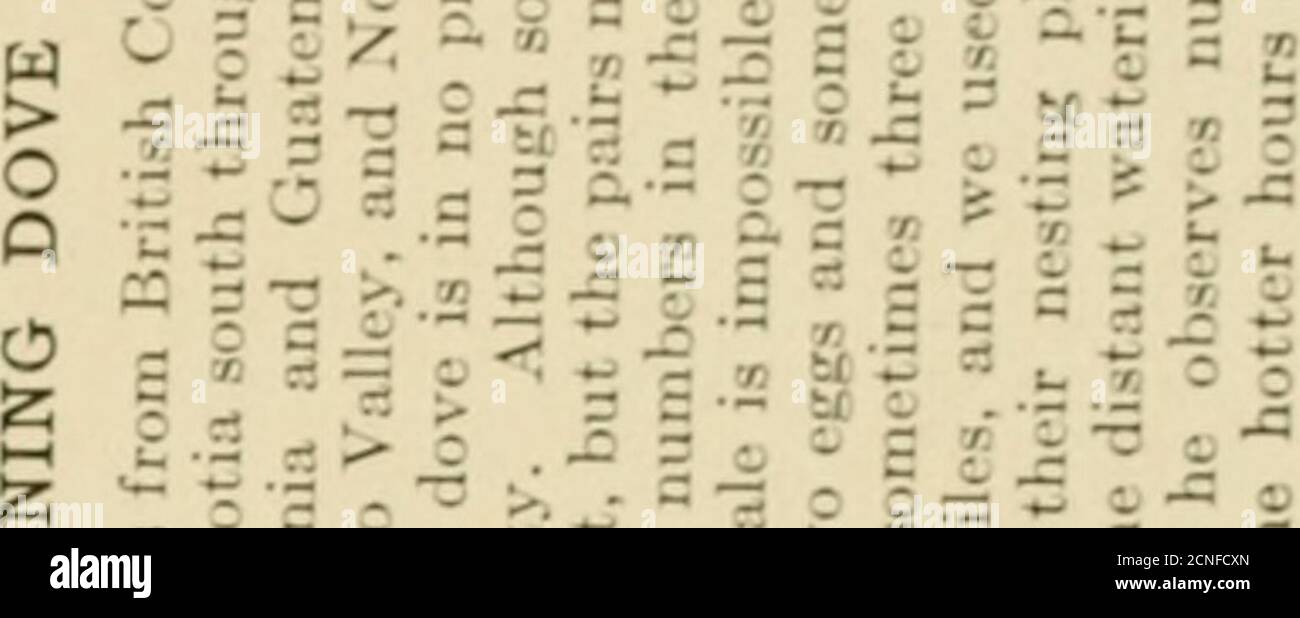 The Book Of Birds Common Birds Of Town And Country And American Game Birds 3 R 2 Jio C 2j 5 c5 5 S2a I 5 3 3 Artrn 05 3 I I 5 F S D I Gt The Book Of Birds Common Birds Of Town And Country And American Game Birds 3 R 2 Jio C 2j 5 c5 5 S2a I 5 3 3 Artrn 05 3 I I 5 F S D I Gt